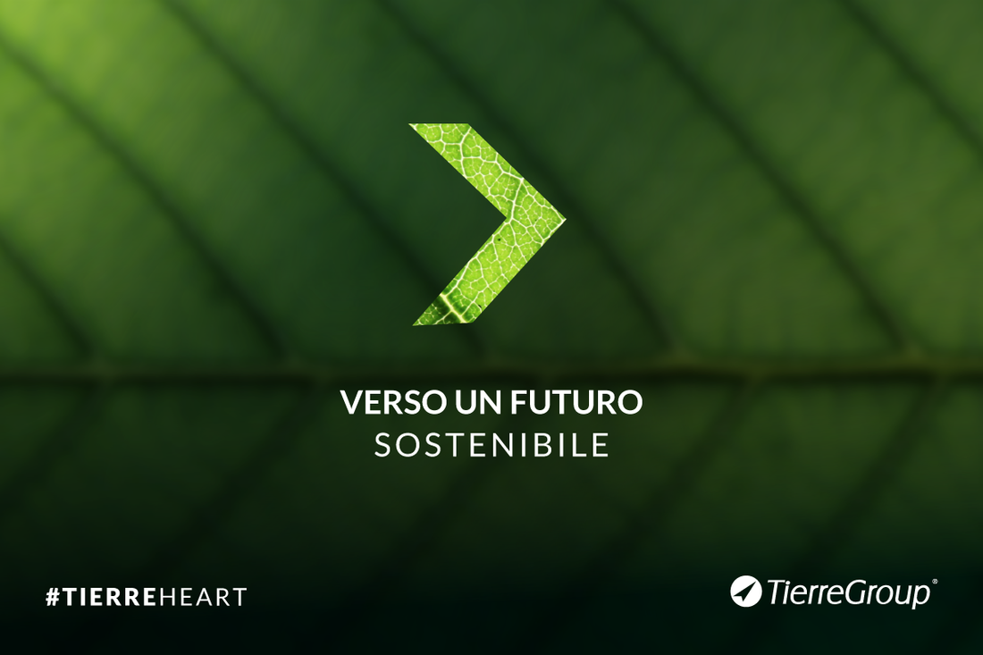 Tierre Group verso un futuro sostenibile